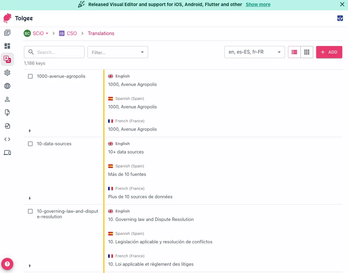 cso project in tolgee localization platform